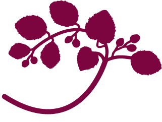 Alder Tree _Tree.png