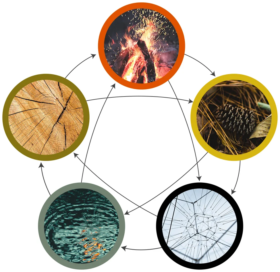 5-ELEMENT-Diagram_Max.jpg