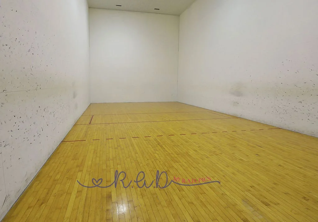 Racquetball, mini pickleball, dodgeball, spike ball, available to rent