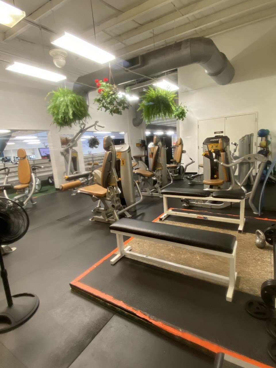 cardio, yoga mats and foam rollers to stretch, privacy screens