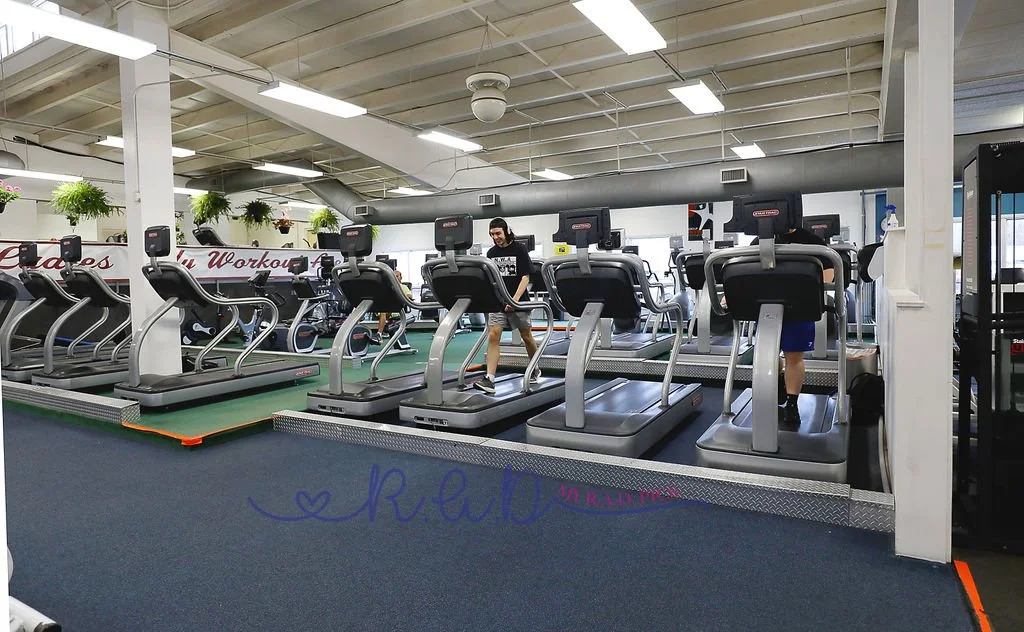 treadmills, stair-steppers, ellipticals