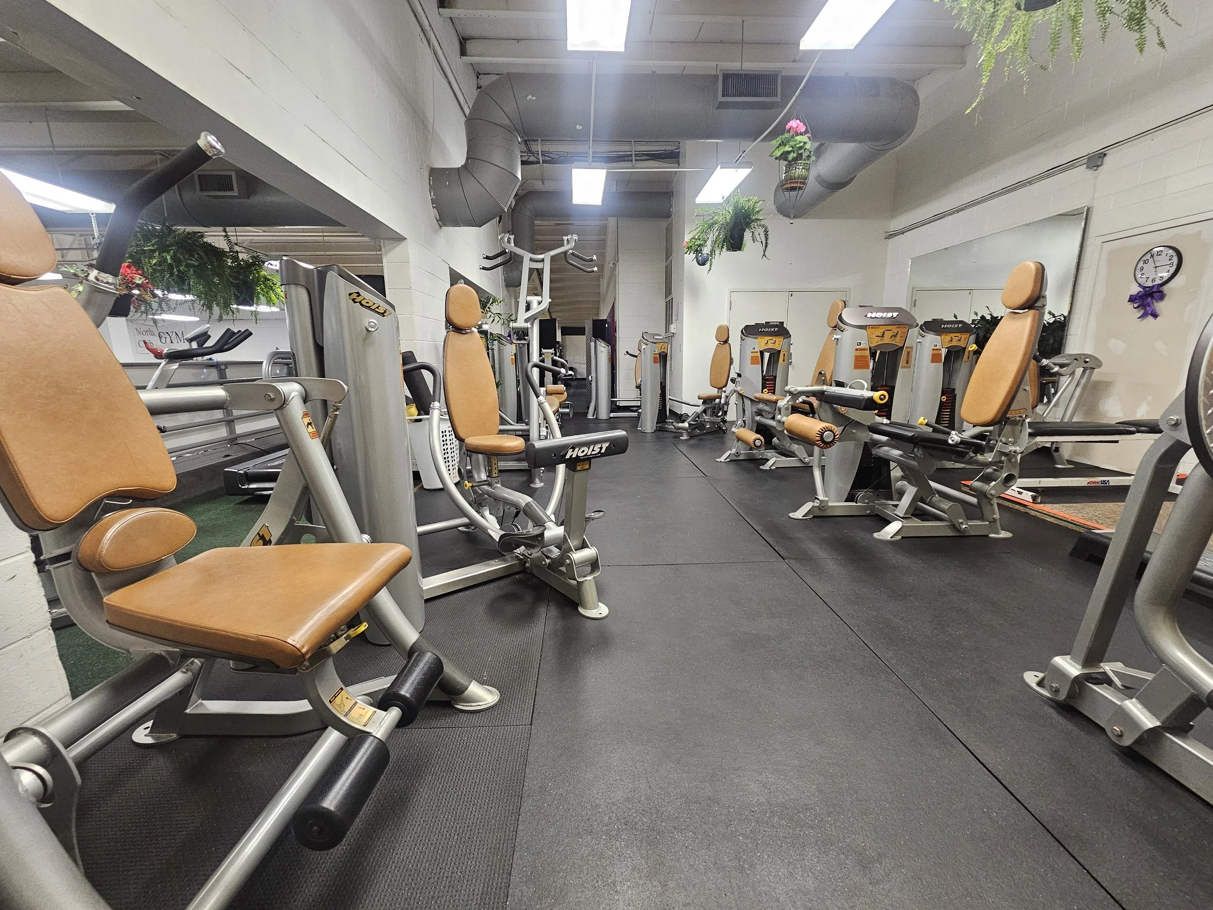 Hoist machines available in women's weight lifting area