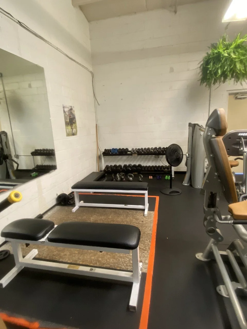 womens' only area, barbell, dumbbells kettlebells, yoga balls