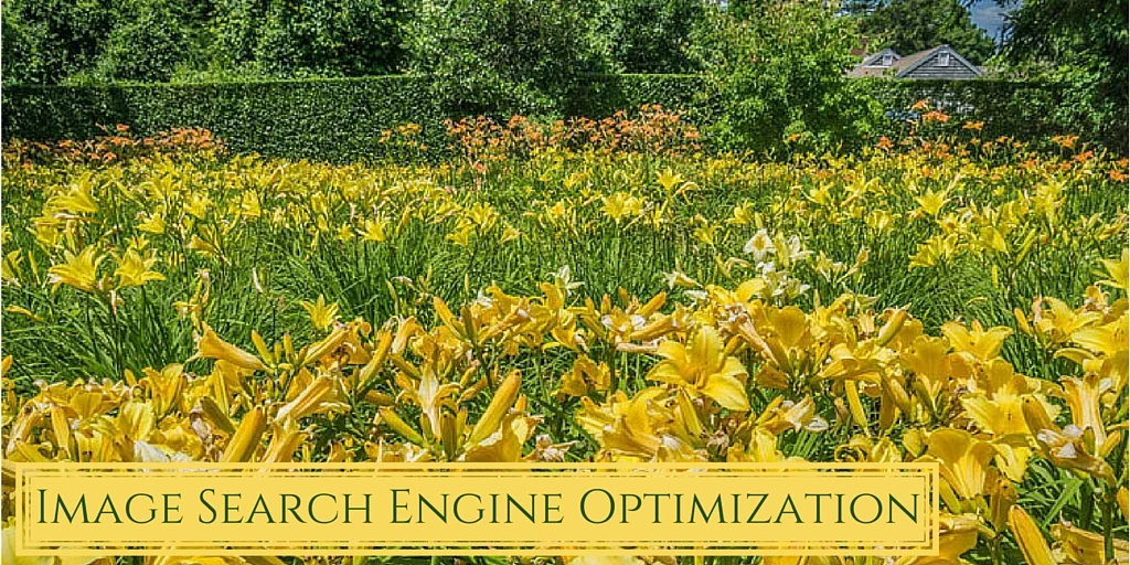 Optimize Your Photos & Get Better Traffic Through Image SEO
