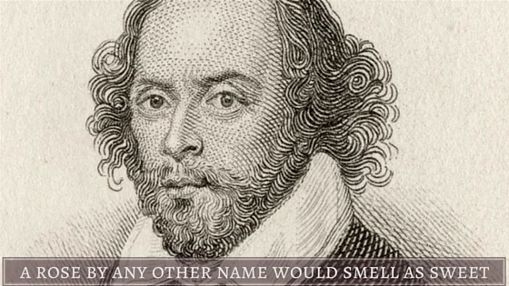 The Importance of Naming When Marketing Real Estate Projects