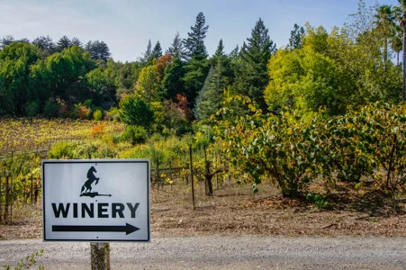 Place Branding and Marketing Luxury Resort Properties