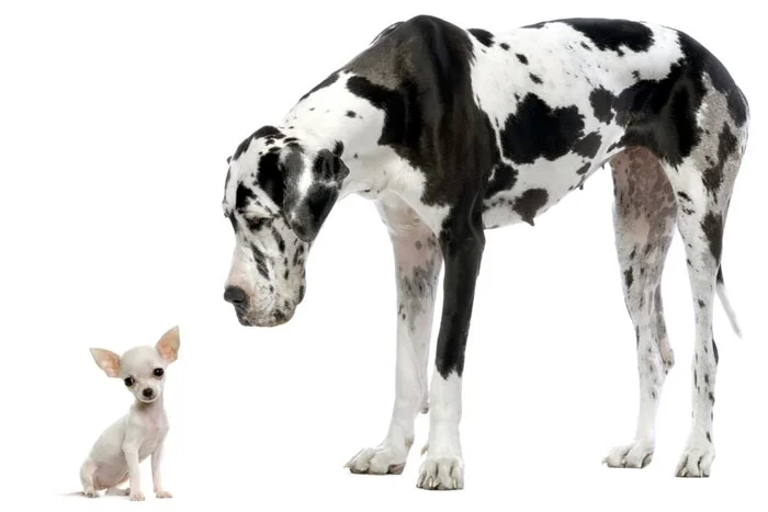 What Size Geothermal Heat Pump Do I Need?