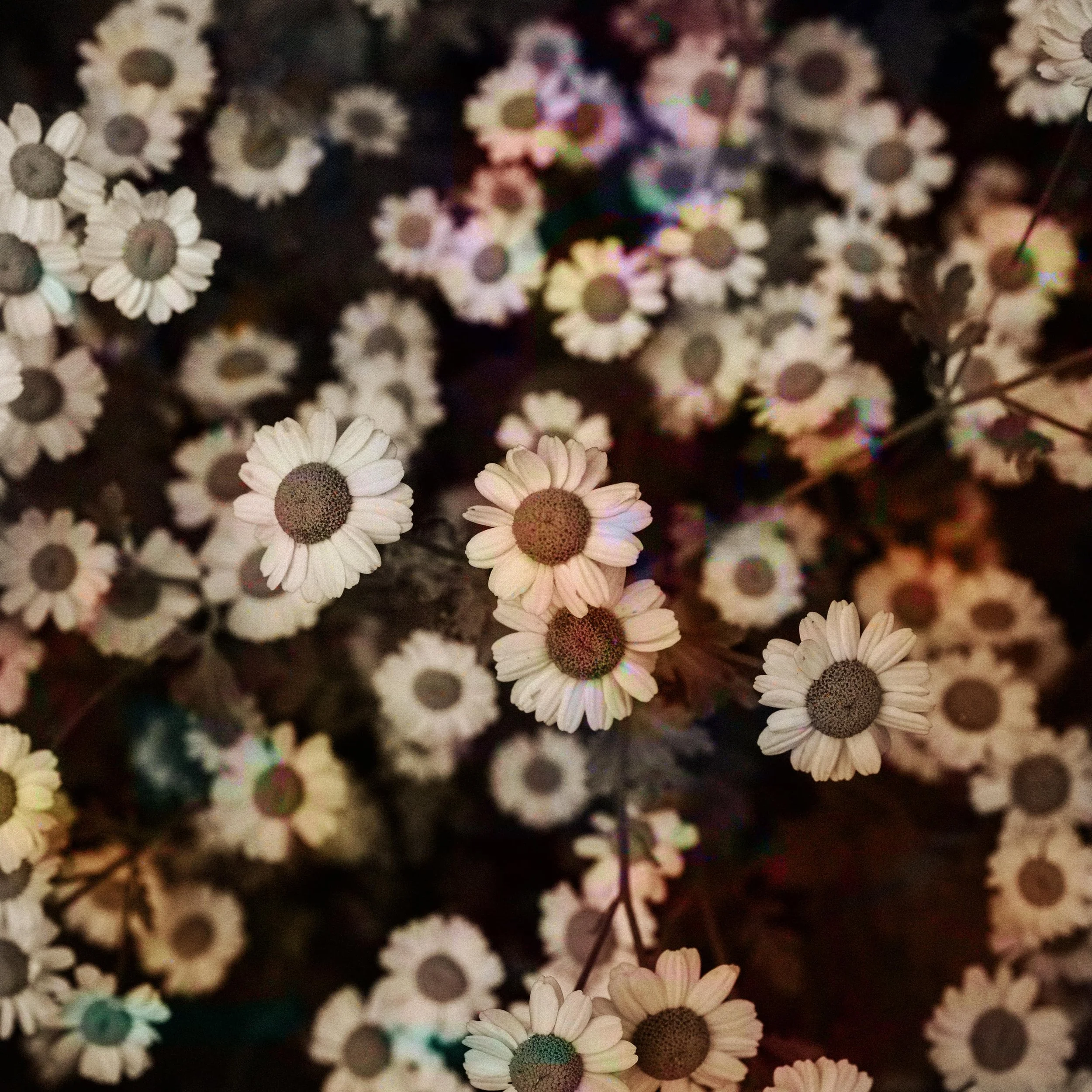 Chaos Cover Final Web Res-min.jpg