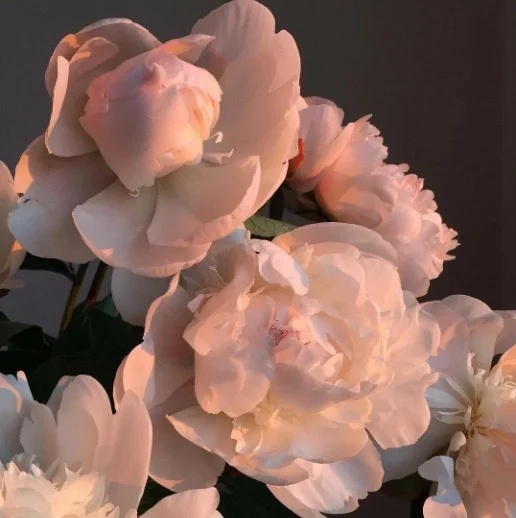 new moon in sagittarius and mother mary 