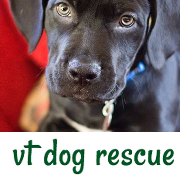 VT-dog-rescue.jpg