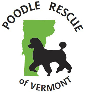 Poodle-rescue-of-vt.jpg