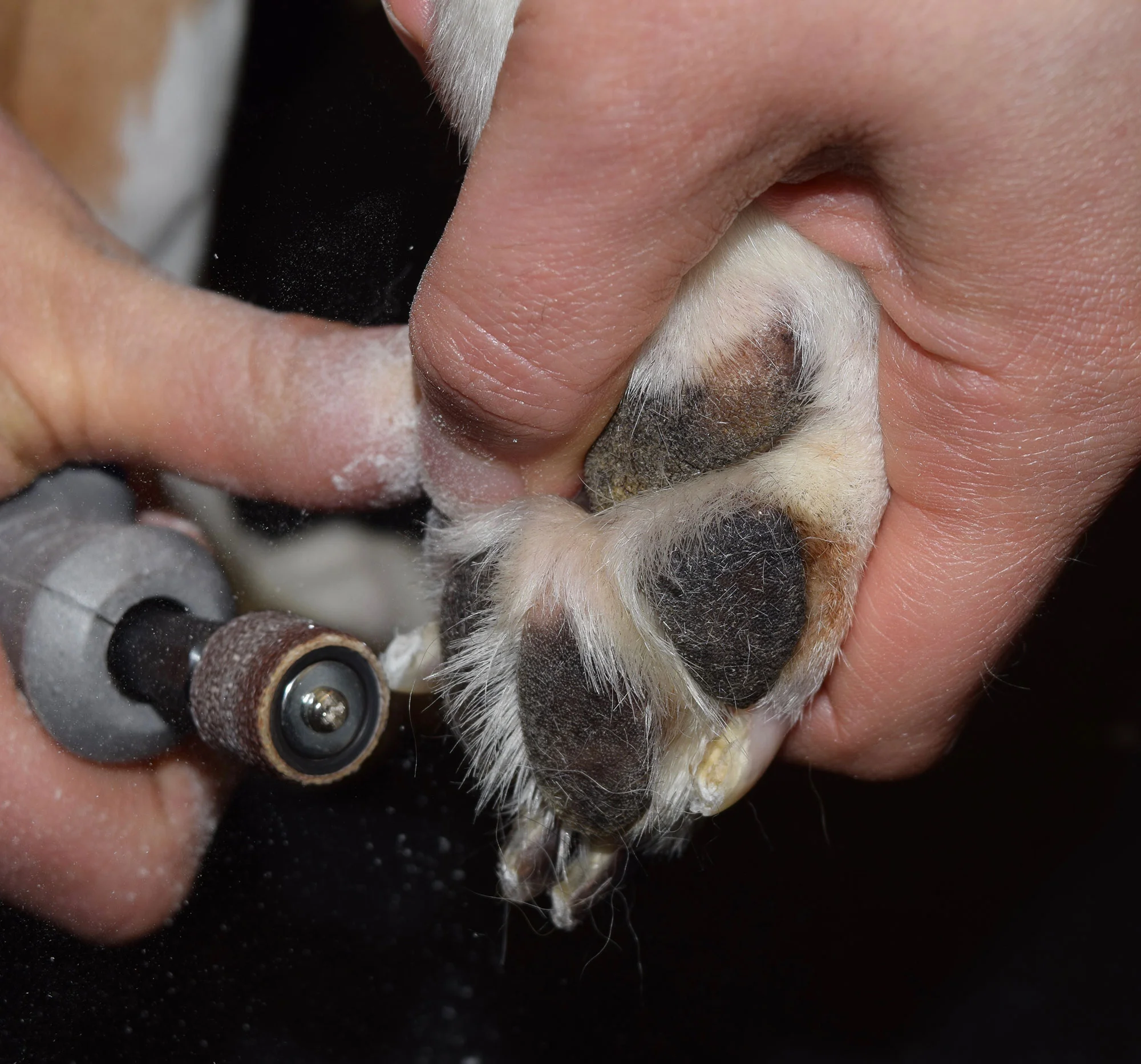nail-grinding.jpg
