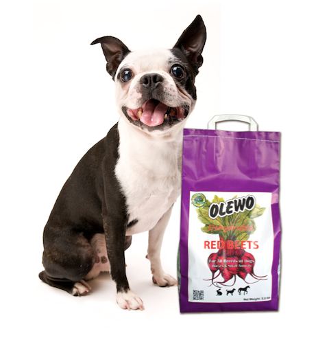 Can-Dogs-eat-Beets.png