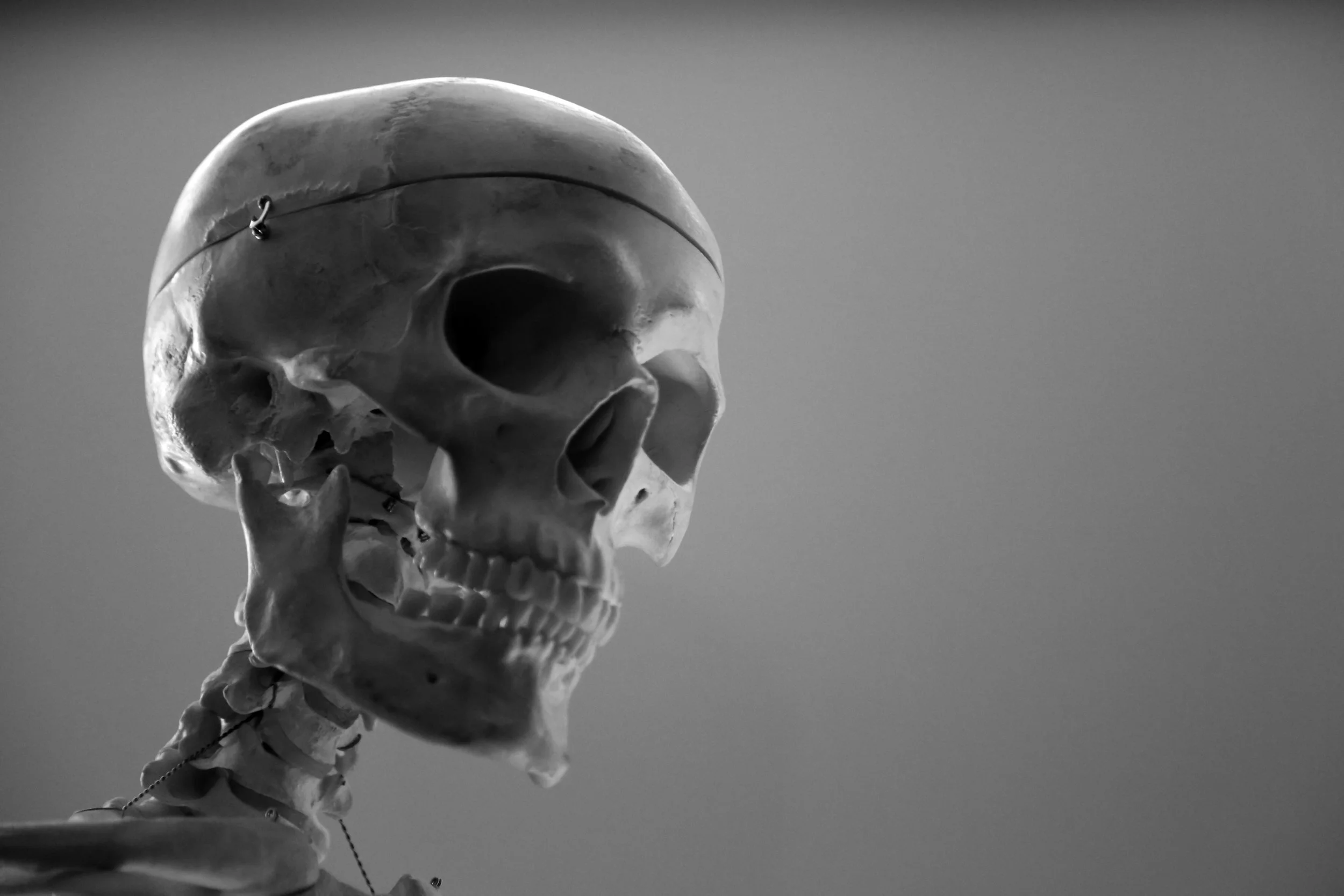 skull guy