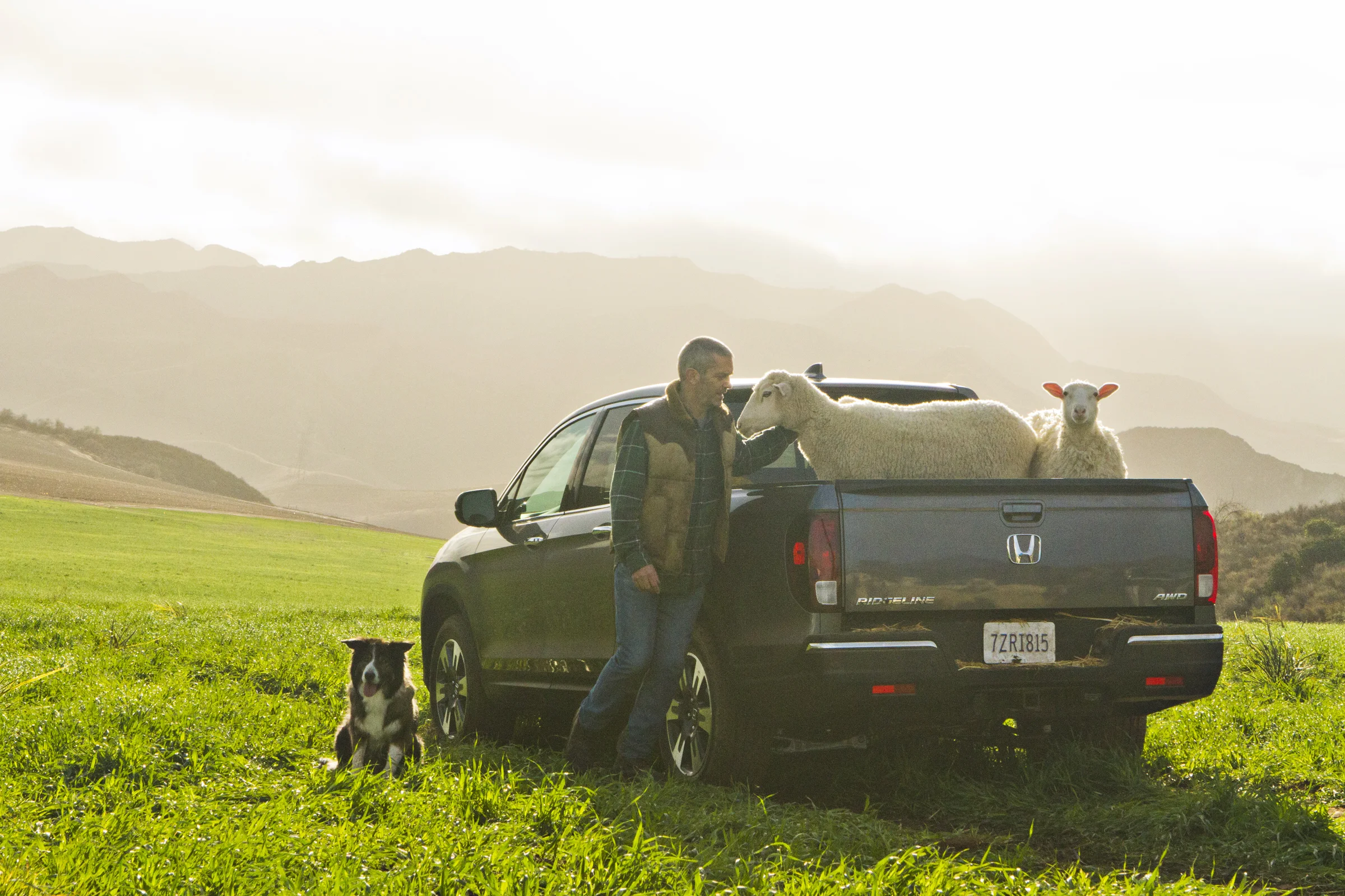 Ridgeline 3.jpg
