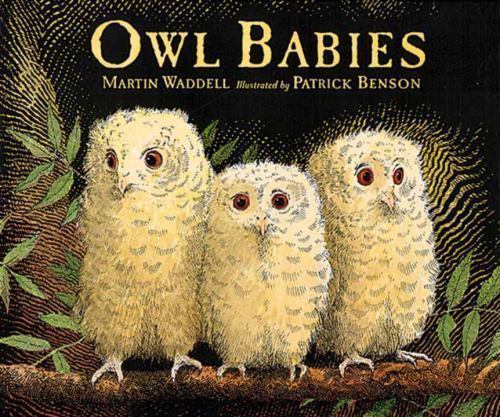 OWLBABIESBOOK.jpg
