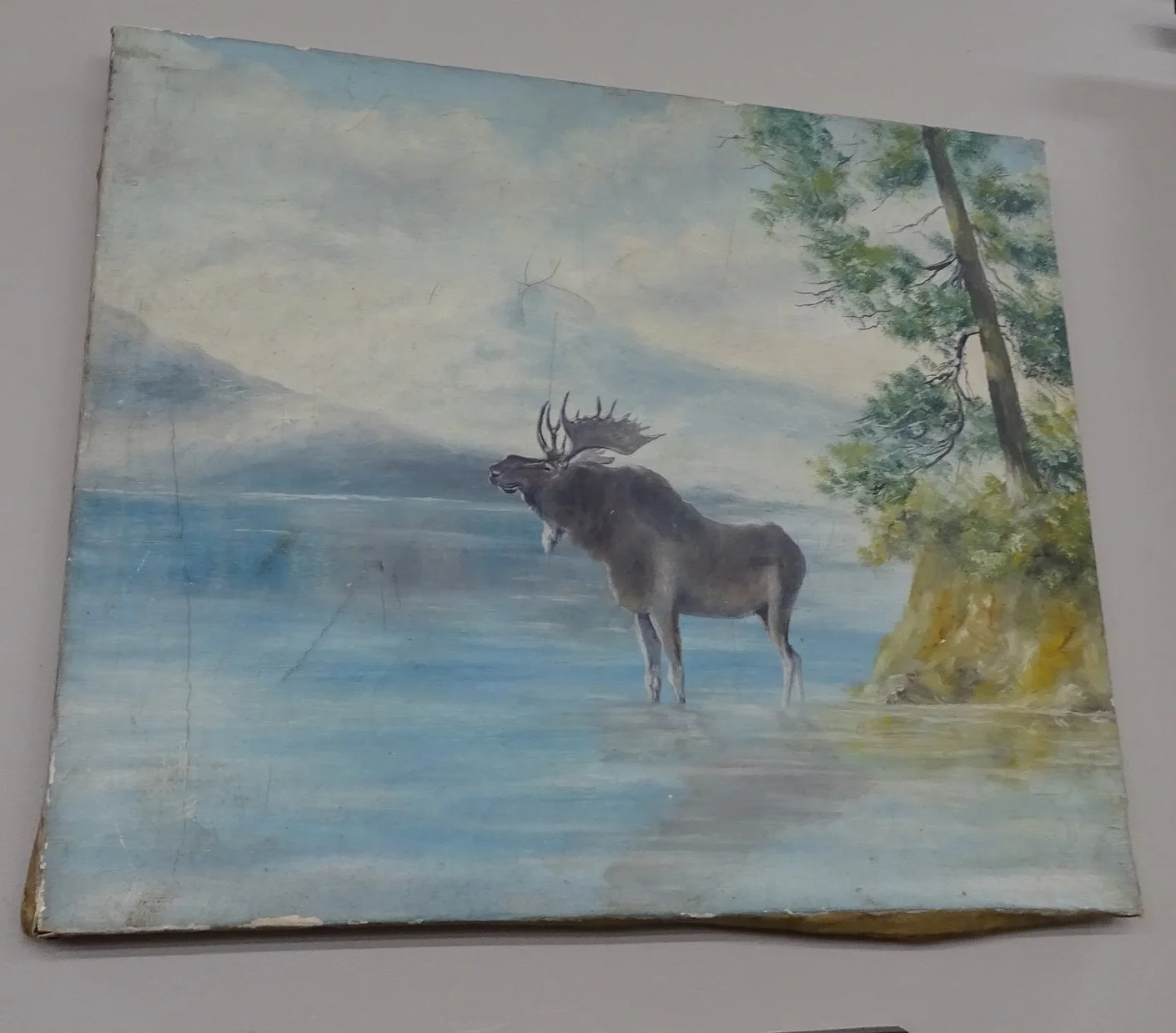 MOOSEFULL.jpg