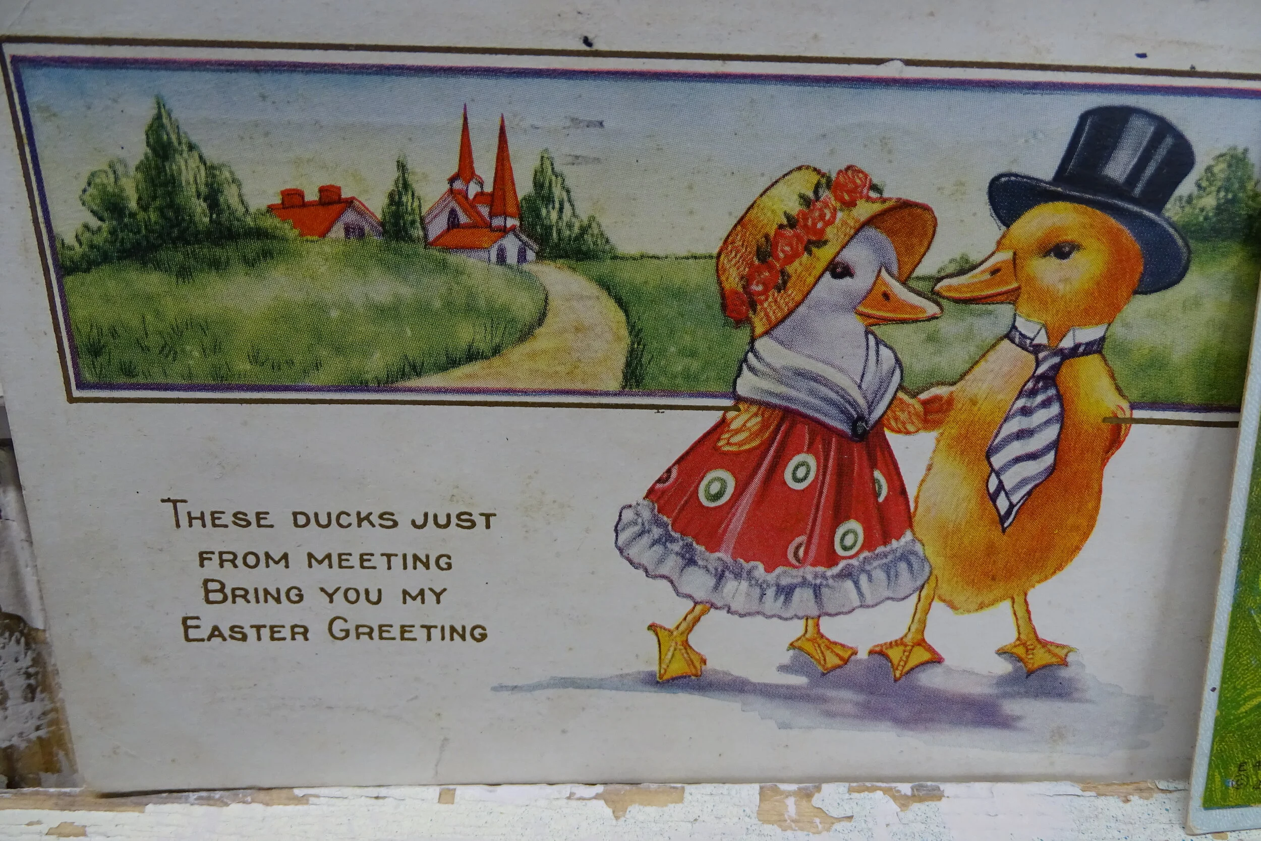 DUTCHDUCKEASTERPOSTCARDSDUCKS.JPG