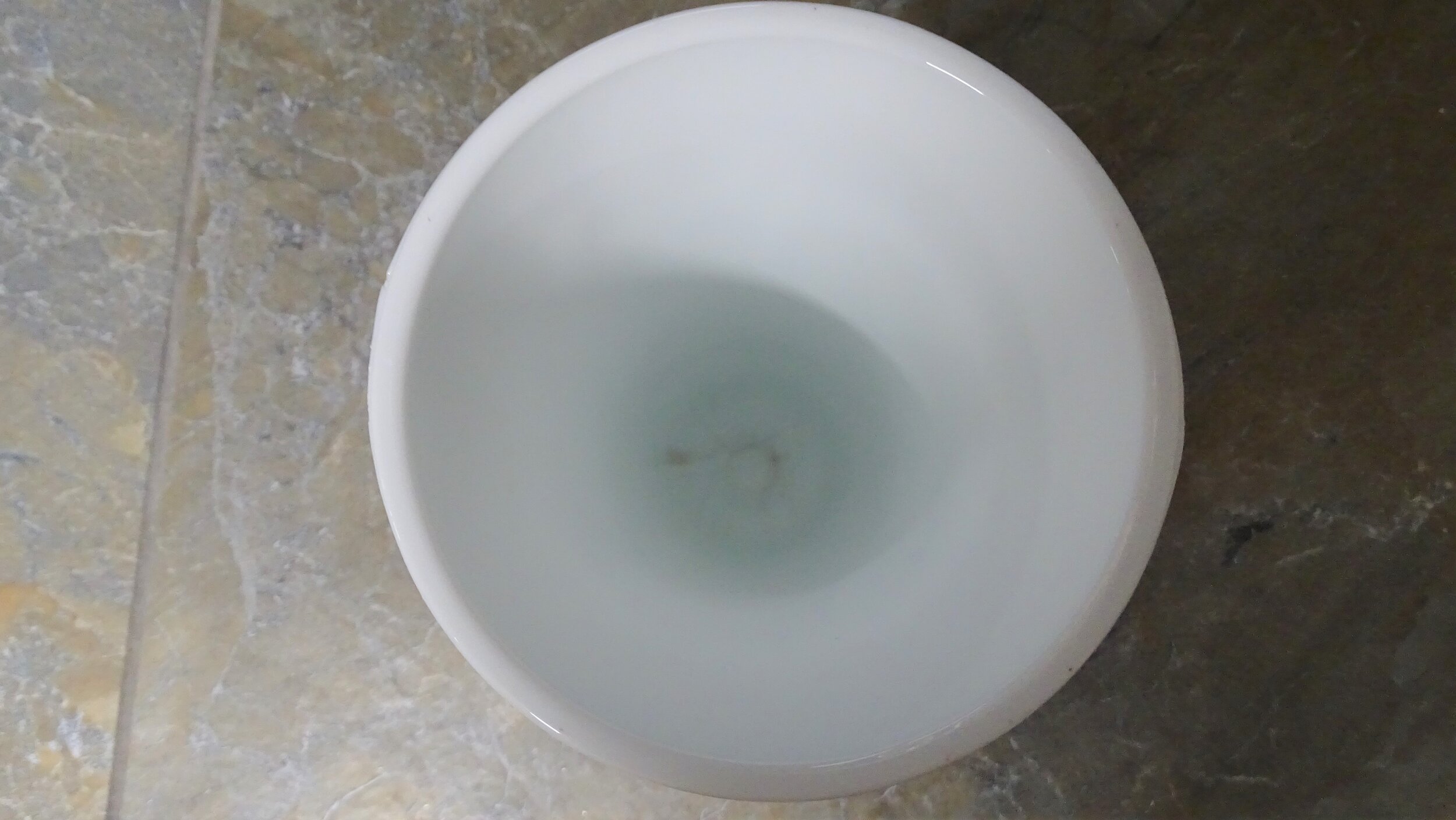 White Milk Glass Harvest Pattern Trumpet Vase Inside (3).JPG