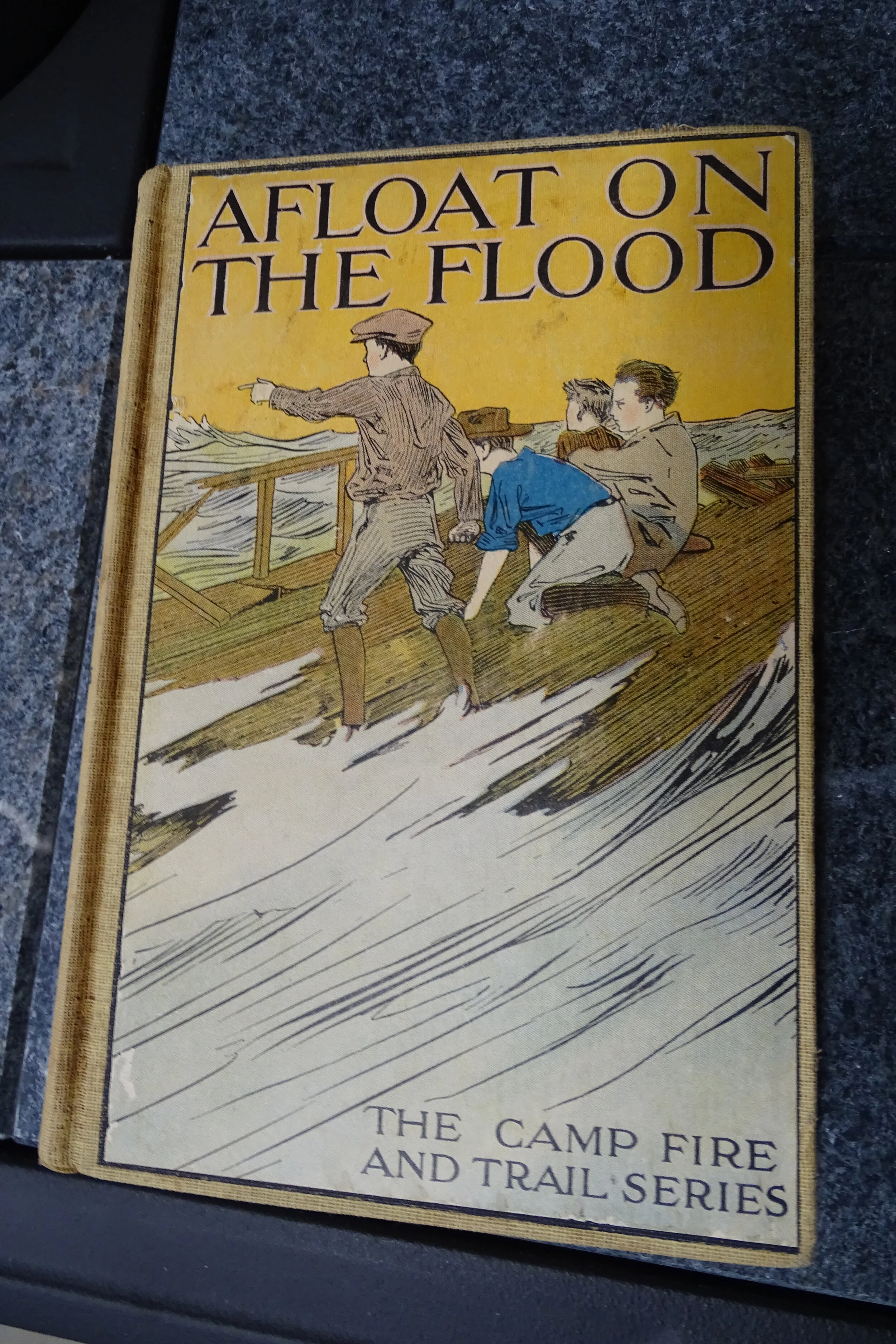 FLOODBOOKCOVERCLOSER.JPG