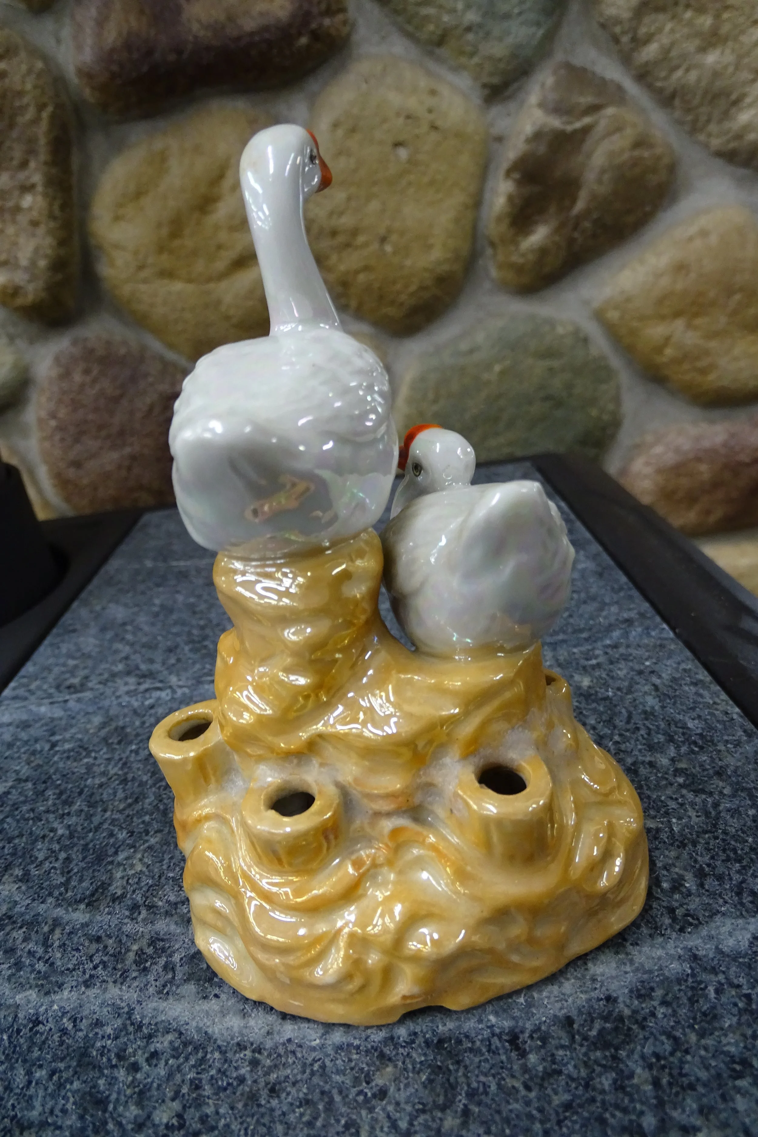 GOOSEFLOWERFROGBACK.JPG