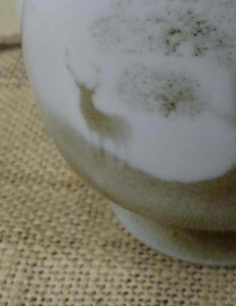 https://i.etsystatic.com/15787319/r/il/d75a06/7371971155/il_fullxfull.7371971155_hl4q.jpg