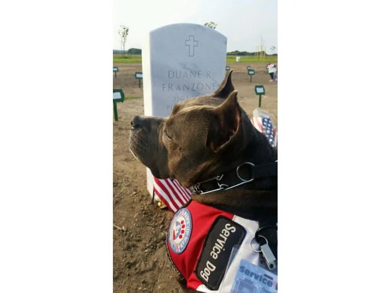 Paws of War Expands to Start Therapy Dog Program to Honor U.S Air Force Veteran