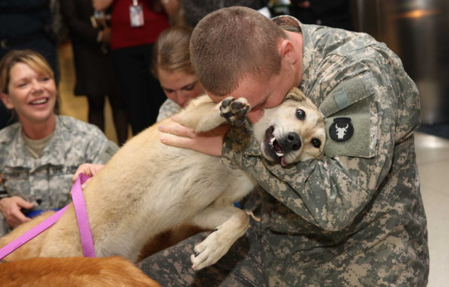 tbi service dog training