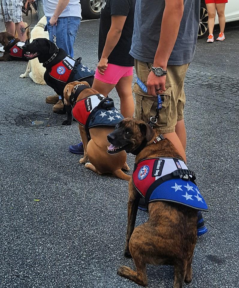 Paws of War 8.jpg