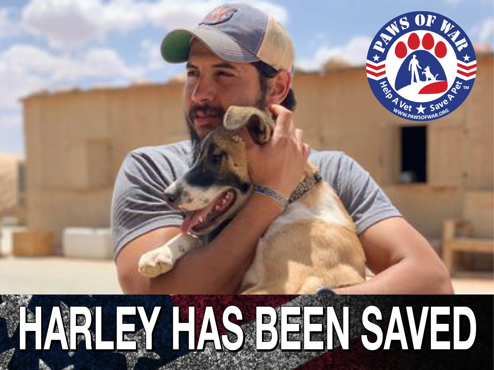 Paws of War is thrilled to announce the CDC has made arrangements for Harley to stay in the U.S. and be reunited with her soldier Staff Sergeant Amjad Kirrish after a quarantine period. The CDC working with Paws of War and elected officials and came up with a plan that resolved all of their concerns and saves Harley.  Staff Sergeant Amjad Kirrish and his wife Scarlett have been overwhelmed with the outpouring of support, are overjoyed and feel so blessed that they will be getting their baby Harley home soon.  Hundreds of thousands of people have been involved with the story of Amjad and Harley on social media, and became an army advocating on their behalf, reaching out to government offices, elected officials and offering their thoughts and prayers.  While there is no way we can thank everyone individually who worked both publicly and behind the scenes to make this happen, there are a few people we would like to acknowledge.  The Long Island congressional delegation and the swift actions of congresswoman Kathleen M. Rice and her dedicated staff, congressman Peter T. King, congressman Gregory W. Meeks, congressman Lee M. Zelden, and congressman Thomas R. Suozzi, who worked continuously from the start to mediate with the CDC to come up with this positive outcome. The effort to save Harley was truly bi-partisan and reached across the country even including Tulsi Gabbard of Hawaii. Congresswoman Julia Brownley from A.J’s home district worked closely with A.J., Paws of War and the CDC. Senator Kirsten Gillibrand also took up Harley’s cause. We would like to thank senator Monica R. Martinez and Senator Phil Boyle who also offered their support. We would like to thank Lara Trump for her continuous support from the beginning advocating from a personal level for Harley and A.J.  Paws of War would like to thank the law firm Morgan Lewis &amp; Bockius LLP for all of their counsel, guidance and advice navigating the legal issues and paperwork involved in this case. Their firm spent a considerable amount of time and resources pro-bono for Harley and Amjad. For that we will all be forever grateful.  This was truly an international effort, our friend and rescue partner Leo from Alamal Foundation in Jordan was instrumental in getting Harley safely to the U.S. The Media also played a crucial part in getting Harley and Amjad’s story national coverage and attention.  Harley will have to receive certain vaccinations and be quarantined for several weeks. Paws of War has committed to cover this expense for Amjad and Scarlett, and would like to thank all of our supporters for their continuing commitment to supporting Harley, Amjad and Scarlett and the rescued pets of our overseas soldiers.