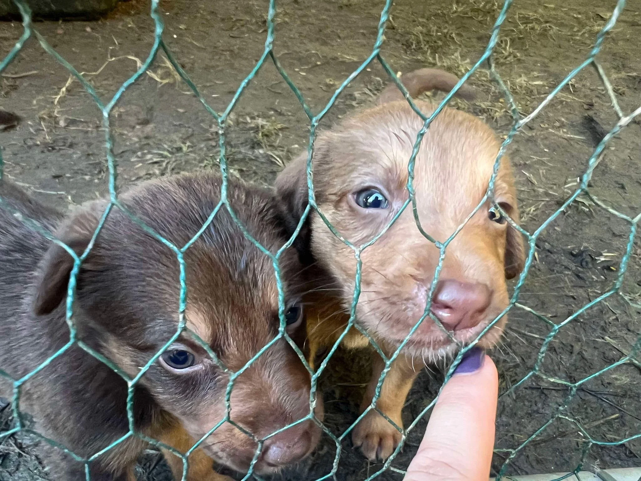 PHOTO-2024-10-04-11-30-10 3.jpg