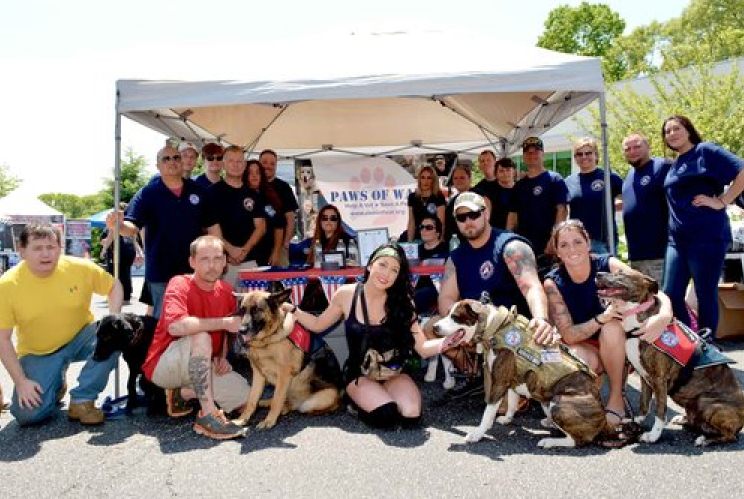 Volunteer — Paws of War