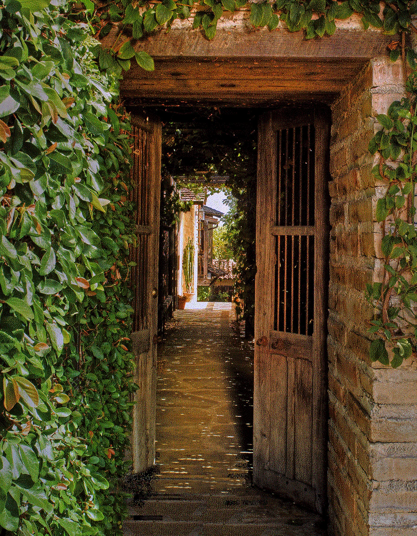 Entry Gate.jpg