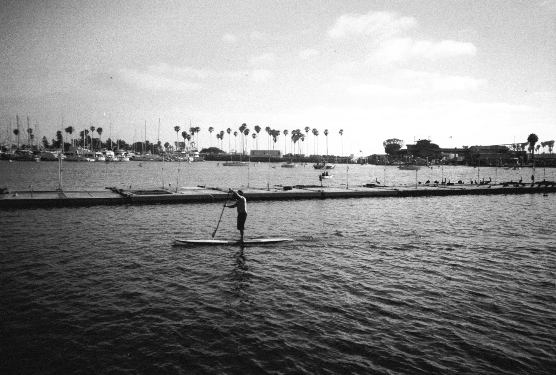 0001541_0001541-R1-E002.jpg