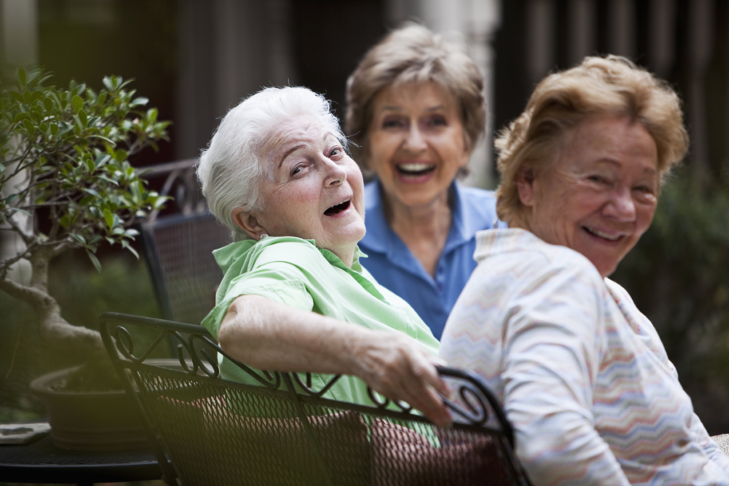 День смеха для пожилых людей. Пожилая женщина смеется. Пенсионеры смеются. Бабушка смеется. Счастливые пенсионеры.