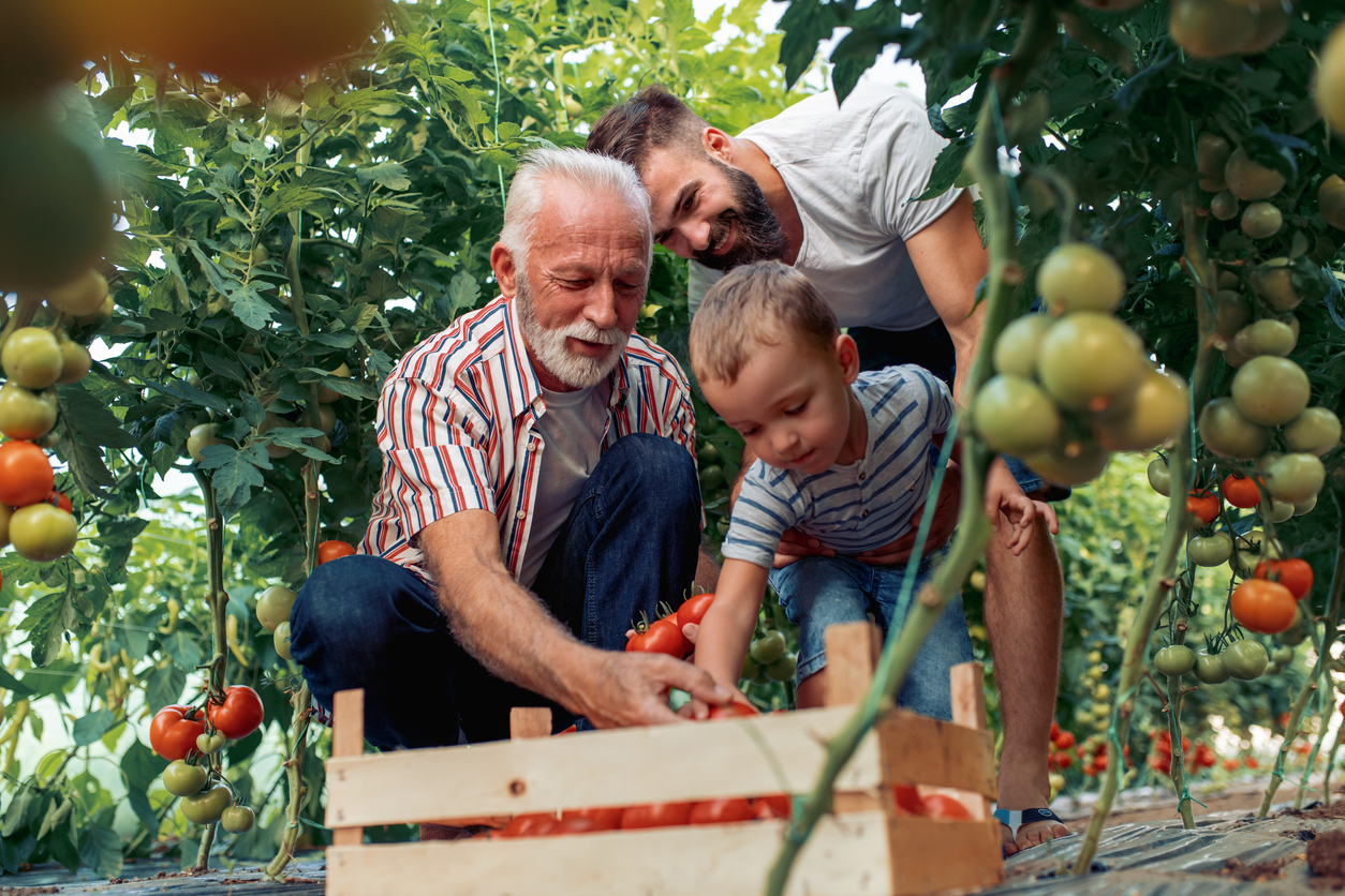 Dignity Magazine: Helping older people to thrive