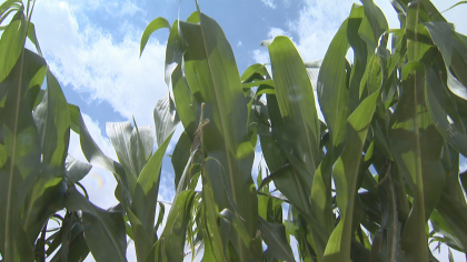 Farmer-Turned-Lawmaker Hopes To Encourage The Next Generation To Grow