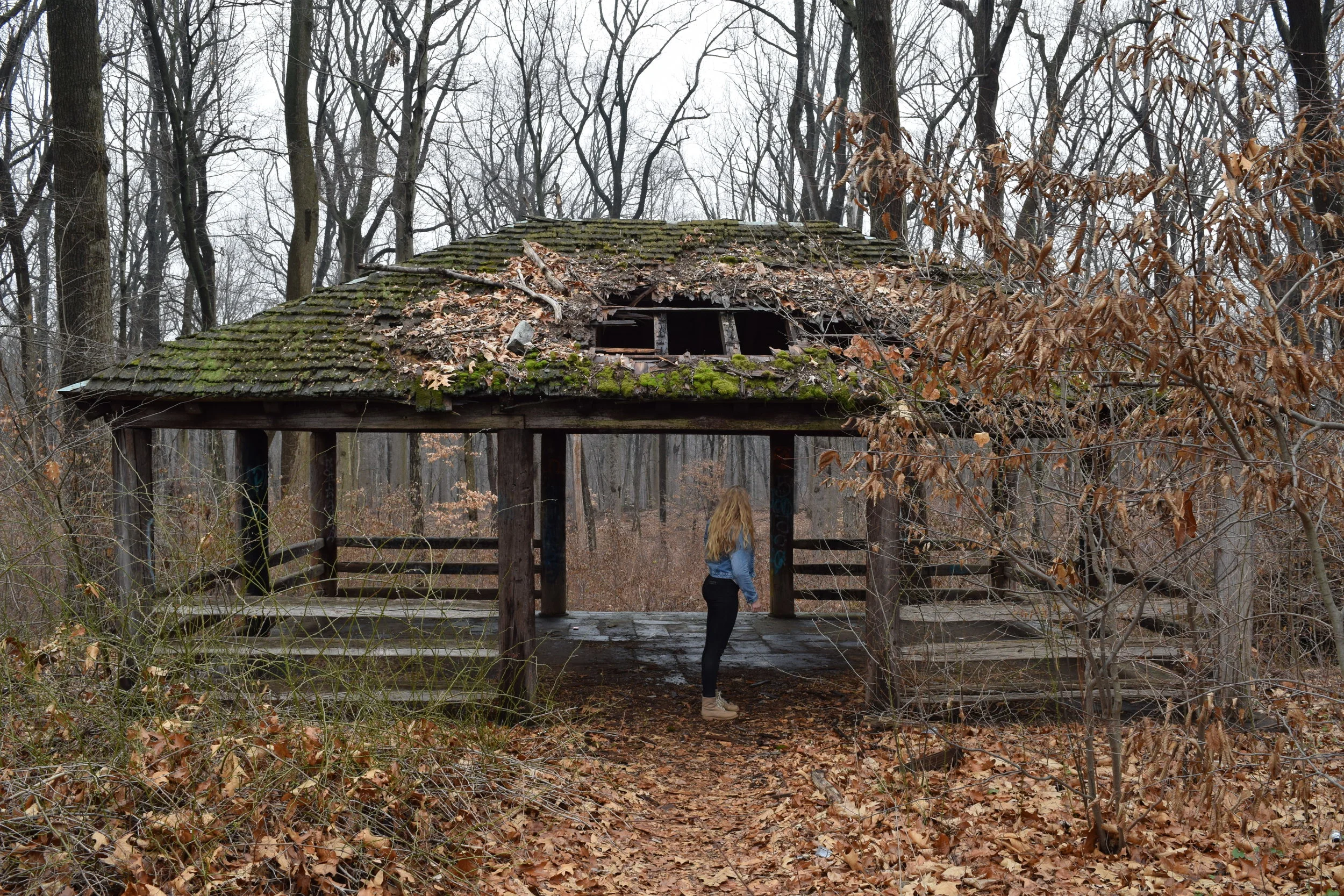 Pavilion