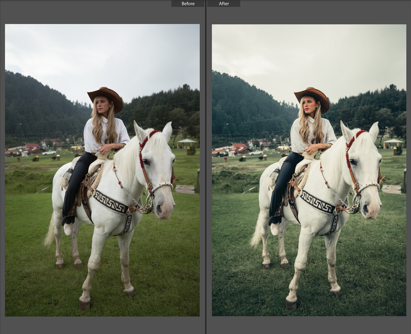Screen Shot 2019-01-08 at 10.22.40 AM.png