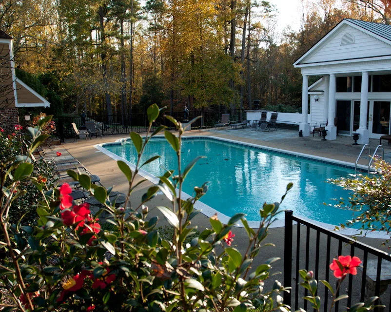 poolllll.jpg