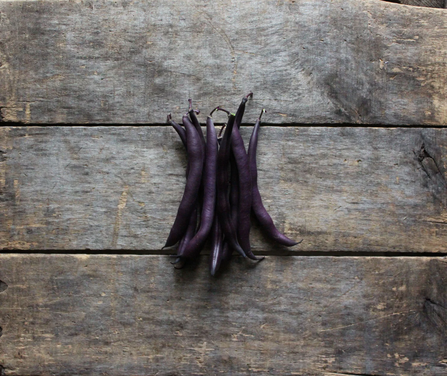 royal-purple.jpg