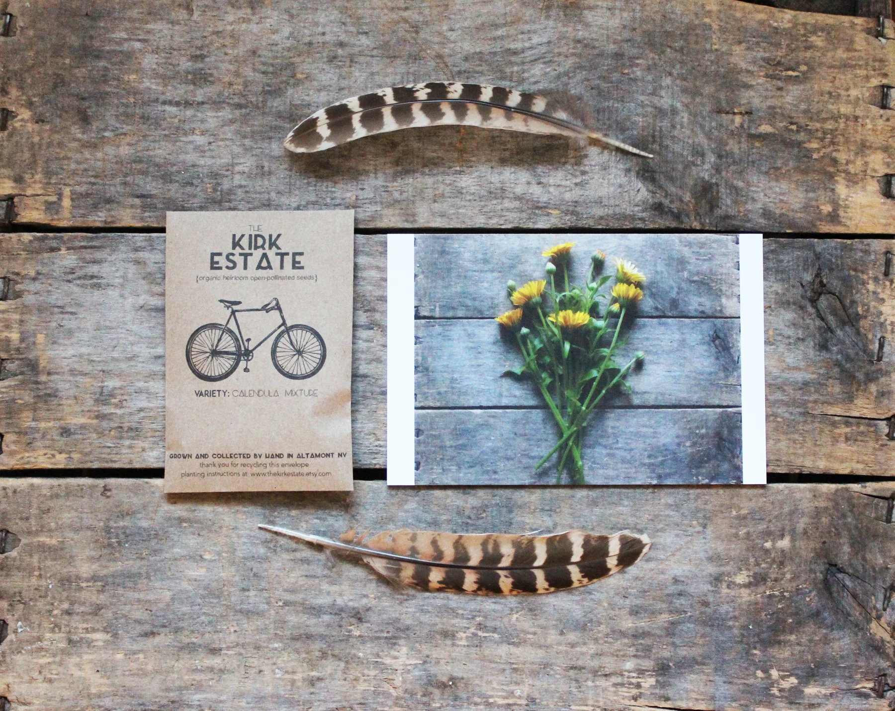 seed-and-postcard.jpg