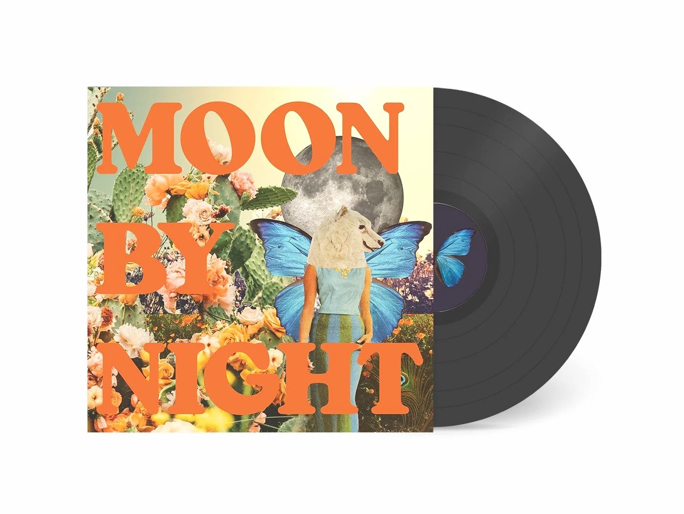 bandcamp_vinyl_12in_template+MOON.jpg