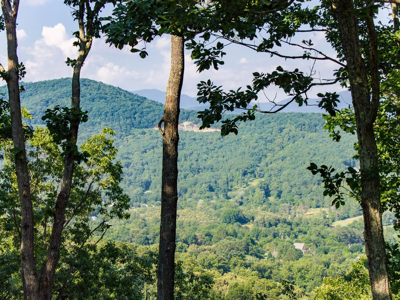 Falcon Ridge Asheville NC-large-018-15-FalconRidgeLot112-1334x1000-72dpi.jpg