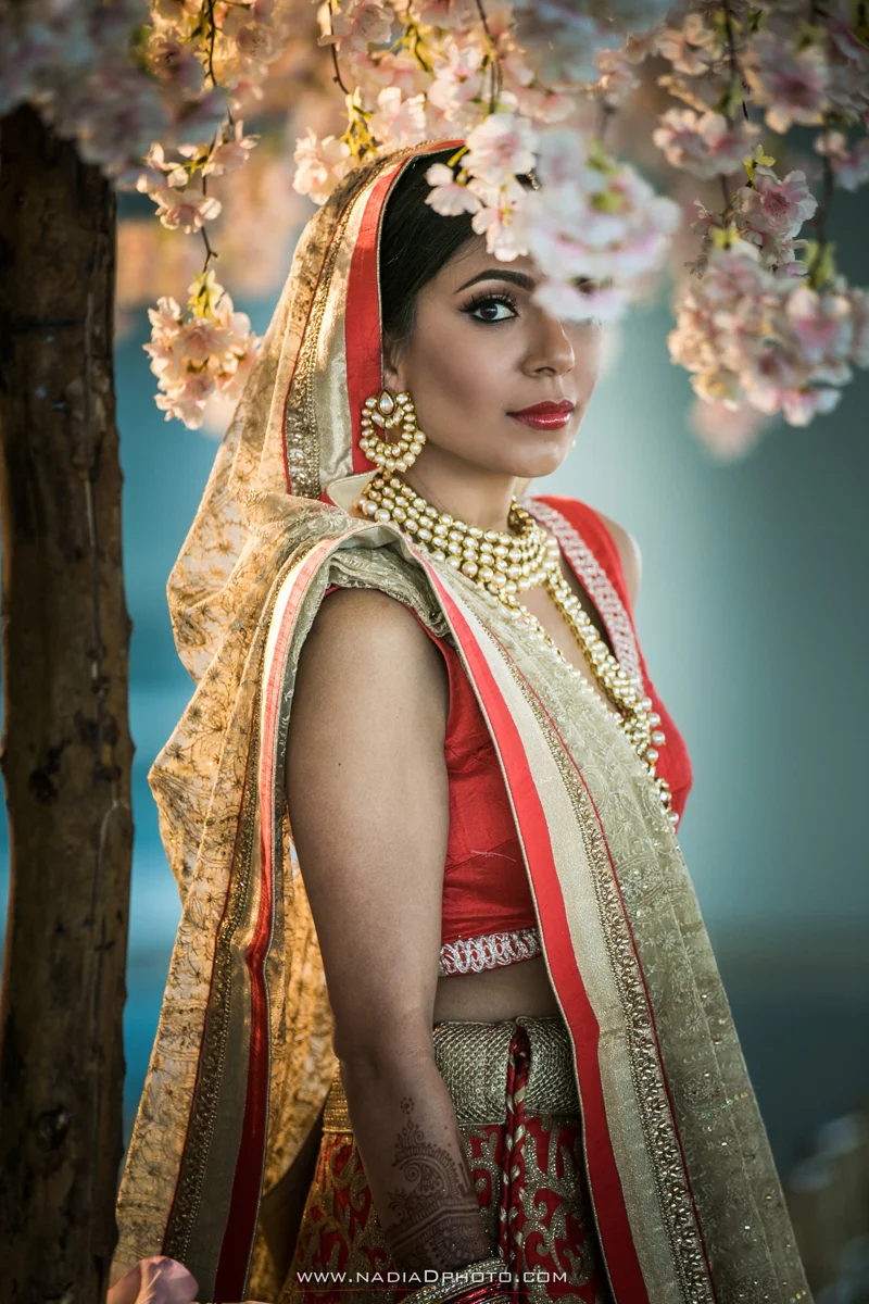Nadia D Photography