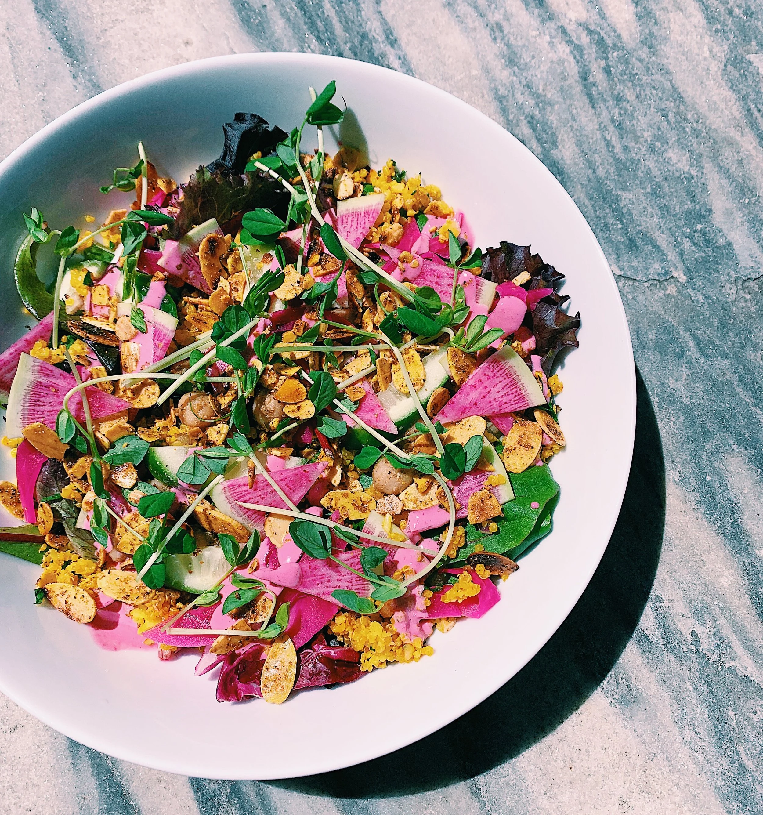 Meal Delivery Service Philadelphia REAP Wellness