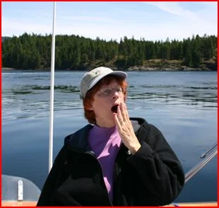 A-smooth-Seymour-Narrows-transit.jpg