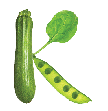 Individual Nutrition Session