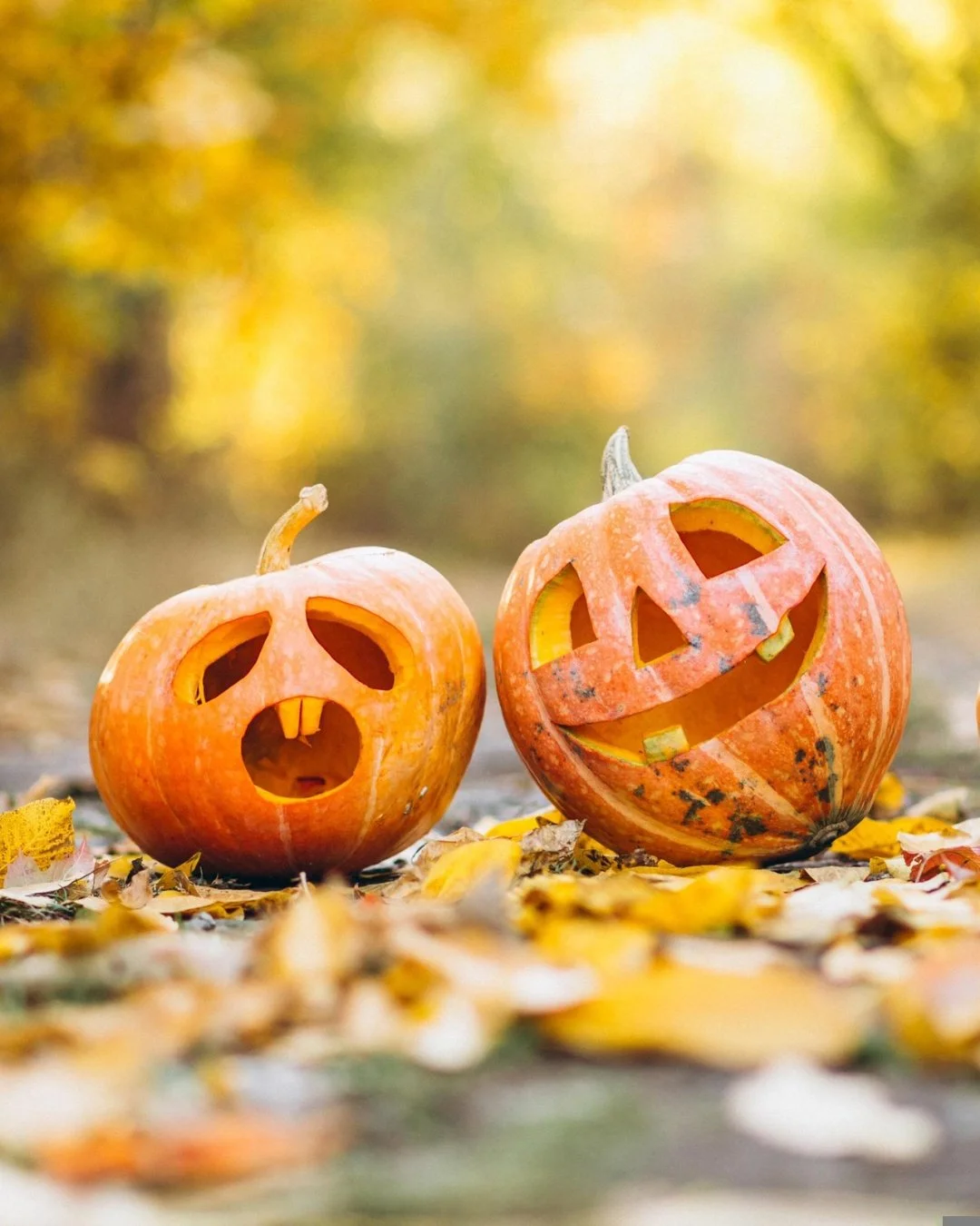 Wishing you a happy (and slightly spooky) Halloween! 🎃

Whether you&rsquo;re handing out treats, dressing up with the kids, or just enjoying the cozy fall vibes, we hope your day is filled with laughter and a little bit of magic. Here&rsquo;s to c