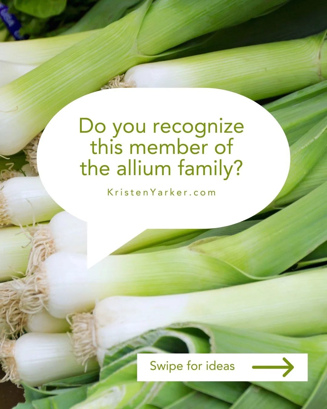 As the days get shorter and the air gets crisp, it&rsquo;s the perfect time to cozy up with foods that help your body adapt to the season. 🌨️

This month, we&rsquo;re shining a light on foods you may not have known have winter tonic effects &mdash; 